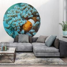 Vidaxl WallArt Okrogla stenska poslikava Nemo the Anemonefish, 142,5 cm