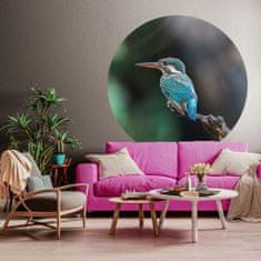 Greatstore WallArt Okrogla tapeta The Kingfisher 142,5 cm