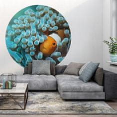 shumee WallArt Okrogla stenska poslikava Nemo the Anemonefish, 190 cm