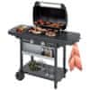 Campingaz 2 Series Woody LD plinski žar (3000005439)