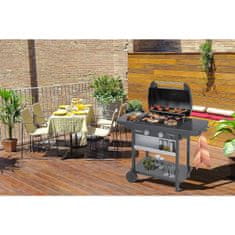 Campingaz 2 Series Woody LD plinski žar (3000005439)