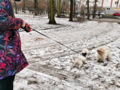 Volino Raztegljiv flexi povodec za pse do 14 kg - 5 m rdeč