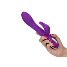 California Ex Novel Grelni ultra soft rabbit vibrator "Jack Rabbit" - vijoličen (R12435)