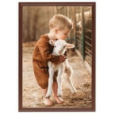 Vidaxl Foto okvirji 3 kosi namizni rjavi 15x21 cm MDF