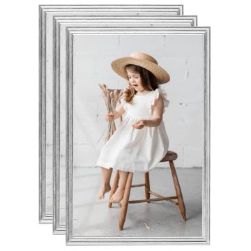 Vidaxl Foto okvirji 3 kosov namizni srebrni 21x29,7 cm