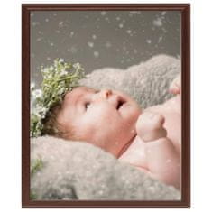 Vidaxl Foto okvirji 5 kosov namizni temno rdeči 20x25 cm