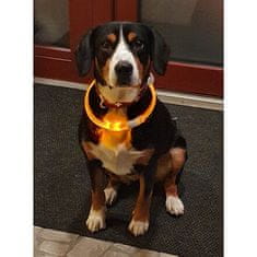 Svetleča svetleča ovratnica za pse rumena dolžina 50 cm
