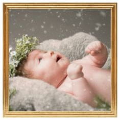 Vidaxl Foto okvirji 5 kosov namiznii zlati 20x20 cm MDF