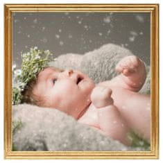 Vidaxl Foto okvirji 3 kosi namiznii zlati 30x30 cm MDF