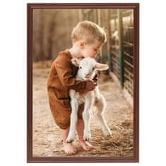 Vidaxl Foto okvirji 10 kosov namizni rjavi 15x21 cm MDF