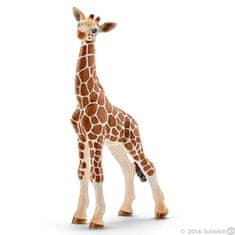 Schleich mladič žirafe, 6,8x3,5x11,8 cm