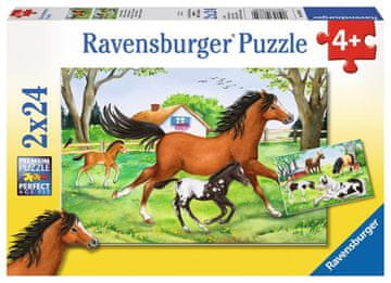 Ravensburger Sestavljanka World of horses 2x24 kosov
