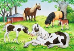 Ravensburger Sestavljanka World of horses 2x24 kosov