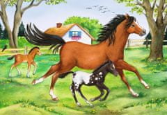 Ravensburger Sestavljanka World of horses 2x24 kosov