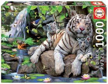 Educa Puzzle Beli bengalski tigri 1000 kosov