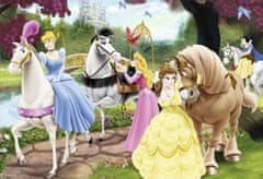 Ravensburger Puzzle Enchanting Princesses 2x24 kosov