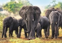 Trefl Puzzle Afriški sloni 1000 kosov