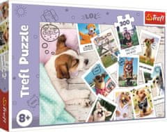 Trefl Puzzle Fotografije z dopusta 300 kosov