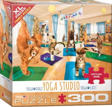 EuroGraphics Puzzle Yoga studio XL 300 kosov