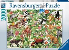 Ravensburger Puzzle Džungla 2000 kosov