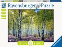 Ravensburger Puzzle Birkenwald Birkenwald, Francija 1000 kosov