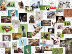 Ravensburger Puzzle Kolaž z živalskimi obrazi 1500 kosov
