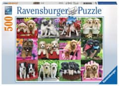 Ravensburger Puzzle Pasji prijatelji 500 kosov