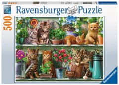 Ravensburger Puzzle Mačke na polici 500 kosov