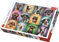 Trefl Puzzle Veseli pasji portreti 1000 kosov
