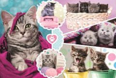 Trefl Puzzle Kittens 160 kosov