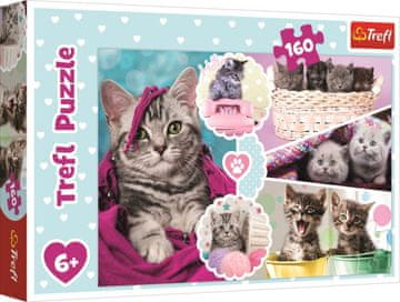 Trefl Puzzle Kittens 160 kosov