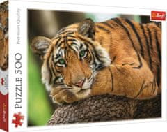 Trefl Puzzle Tiger portret 500 kosov