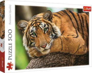 Trefl Puzzle Tiger portret 500 kosov