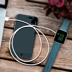 CO2 KABEL INDUKCIJSKOG POLNILNIKA ZA APPLE WATCH 4 5 6 1 METER CO2-0084