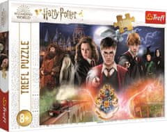 Trefl Puzzle Skrivnostni Harry Potter 300 kosov