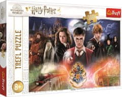 Trefl Puzzle Skrivnostni Harry Potter 300 kosov