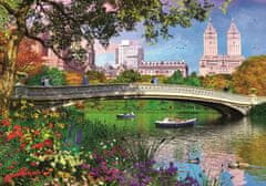 Trefl Puzzle Central Park 1000 kosov