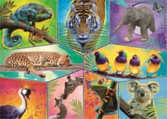 Trefl Puzzle Animal Planet: Svet eksotičnih živali 200 kosov