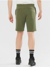 Salomon oška Outlife Kratke hlače Zelena XL