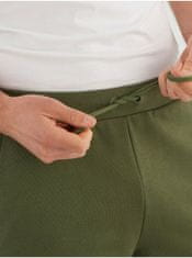 Salomon oška Outlife Kratke hlače Zelena XL