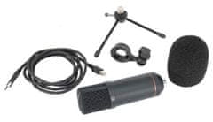 BST Mikrofon STM300 