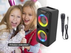 Manta SPK816 prenosni zvočnik, karaoke zvočni sistem, vgrajena baterija, Bluetooth 5.0, Disco LED lučke, črn (MAN-SPK816)