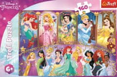 Trefl Puzzle Portreti princes 160 kosov