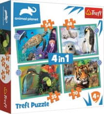 Trefl Puzzle Animal Planet: Skrivnostni svet živali 4 v 1 (35,48,54,70 kosov)