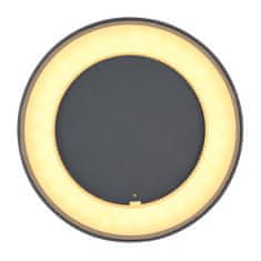 Globo LED Zunanja stropna/zidna svetilka Globo SURA 32136D