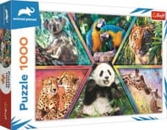 Trefl Puzzle Animal Planet: Kraljestvo živali 1000 kosov