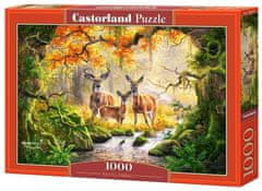 Castorland Puzzle Kraljeva družina 1000 kosov