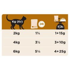 Purina Veterinary Diet hrana za mačke, NF Renal, piščanec, 10x85 g