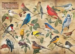 Cobble Hill Puzzle Ptice severnoameriških vrtov 1000 kosov