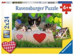 Ravensburger Puzzle Sleepy kittens 2x24 kosov